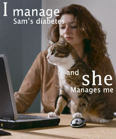 Diabetes in cats
