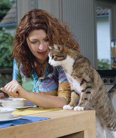 feeding cats with diabetes